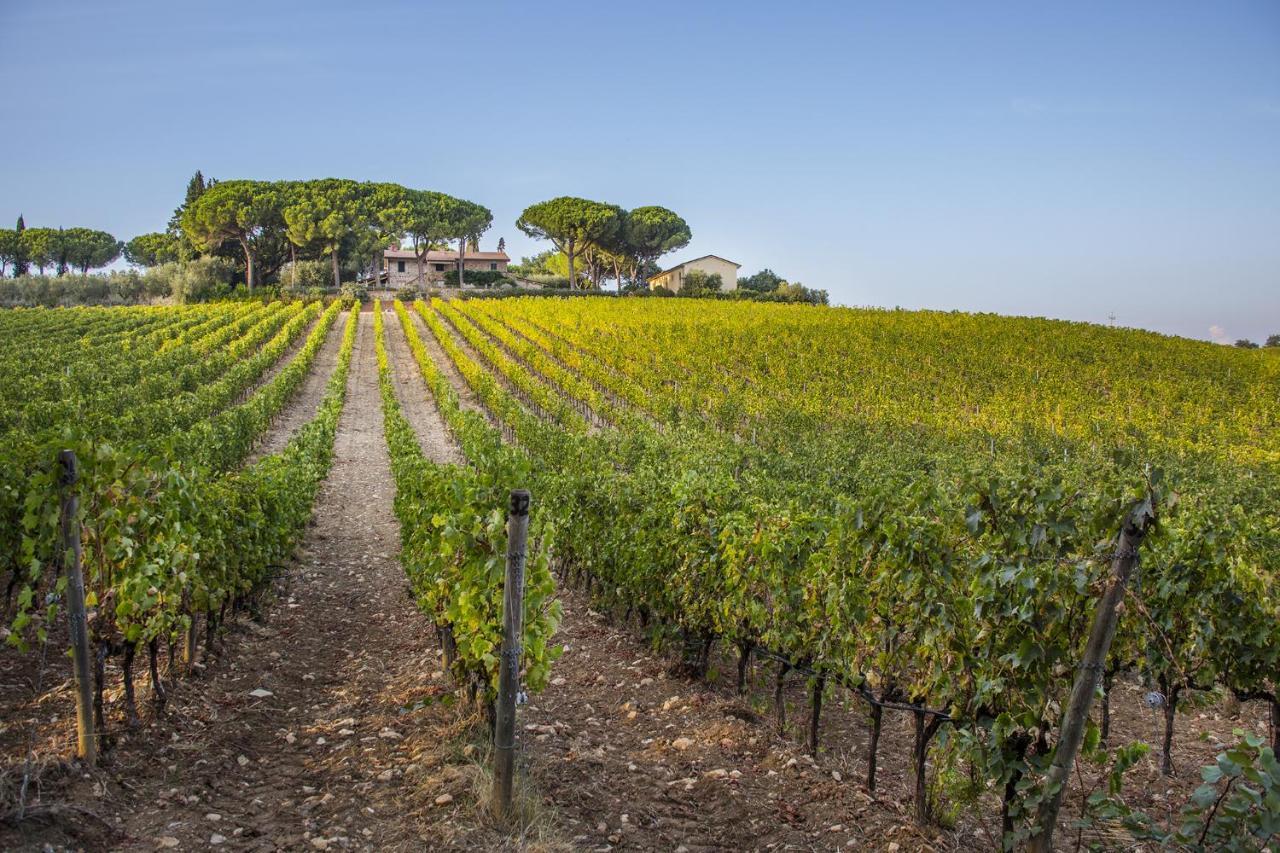 Fattoria Di Magliano Winery Villa Magliano in Toscana Eksteriør billede