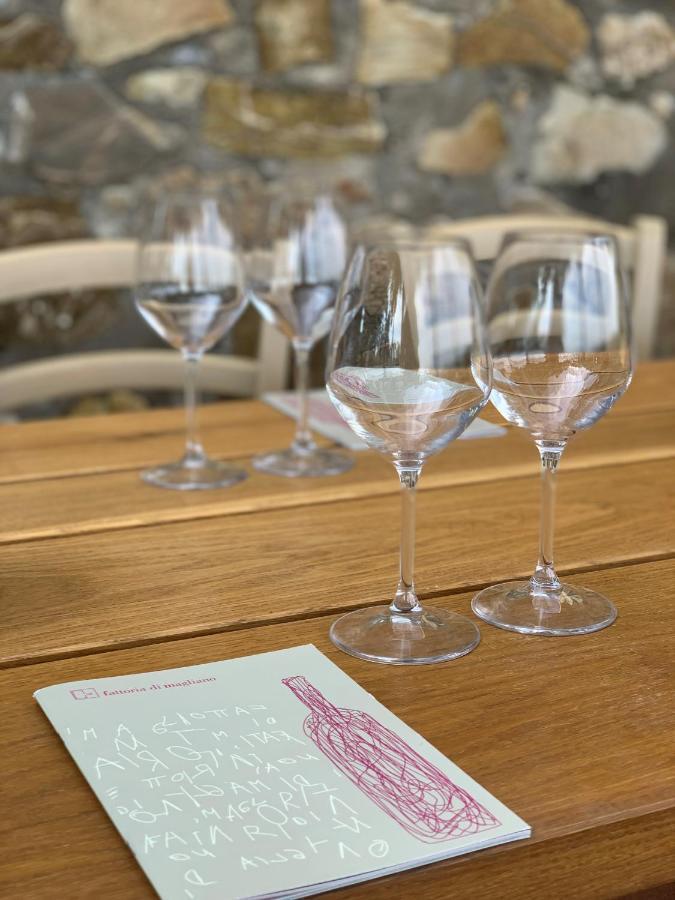 Fattoria Di Magliano Winery Villa Magliano in Toscana Eksteriør billede