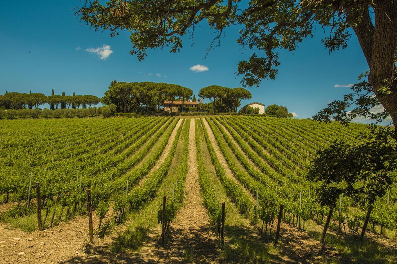 Fattoria Di Magliano Winery Villa Magliano in Toscana Eksteriør billede